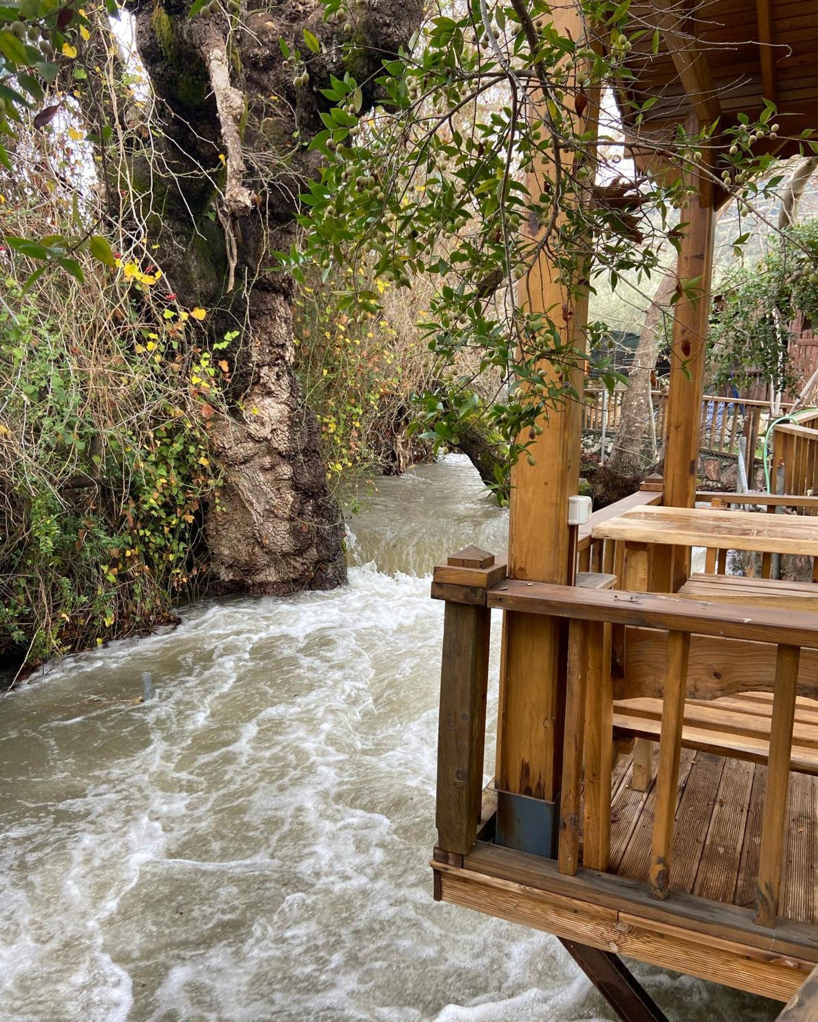 Pavelin Yeri Otel Edremit  Dış mekan fotoğraf